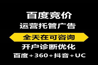 百度竞价SEM深度解析：某行业成功推广经验